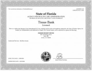 pdf preview thumbnail